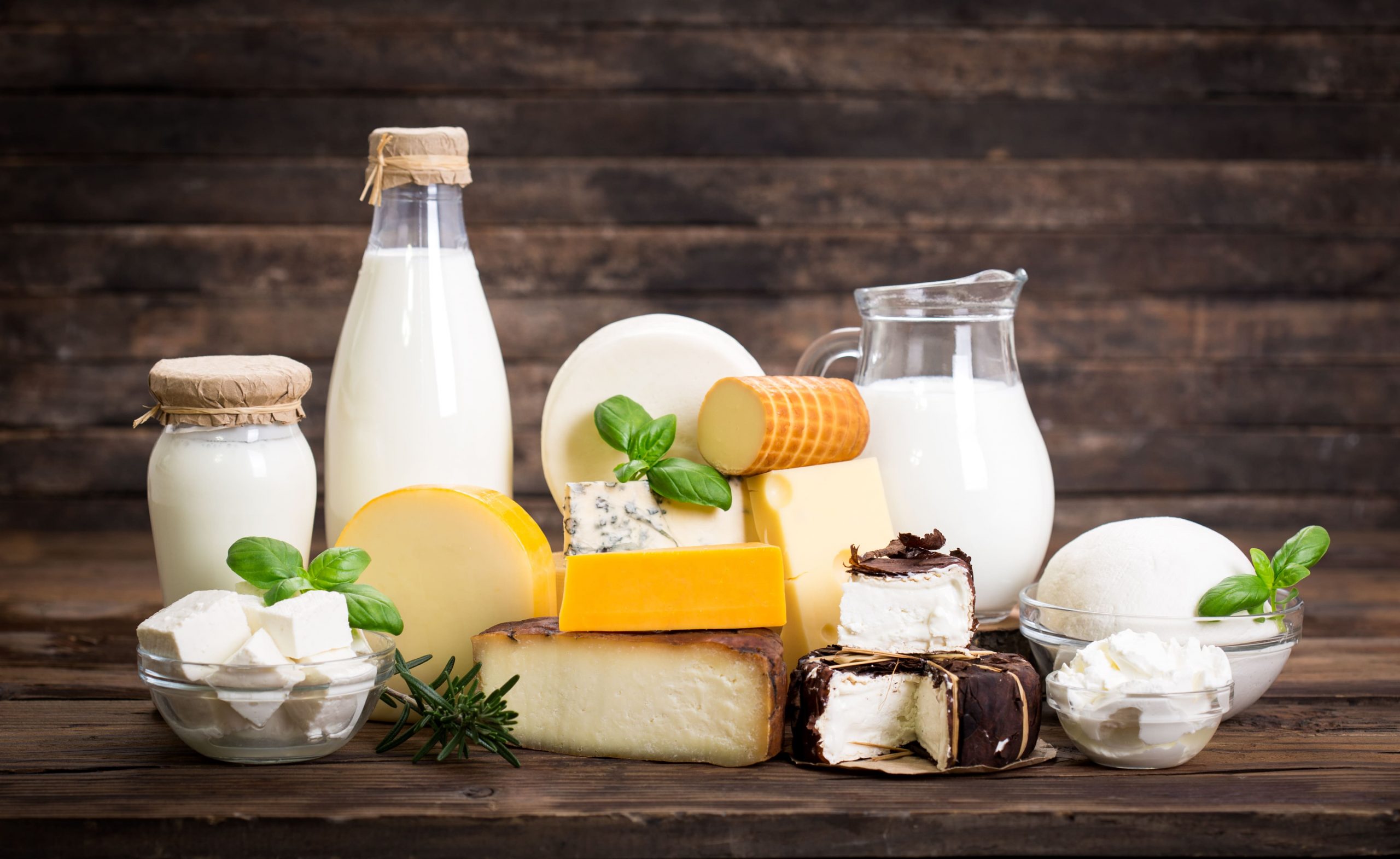 В этом году экспорт молочной продукции из КЧР вырос на 20%