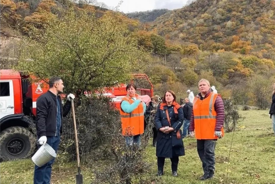 Более 600 га леса восстановили в Карачаево-Черкесии с 2019 года